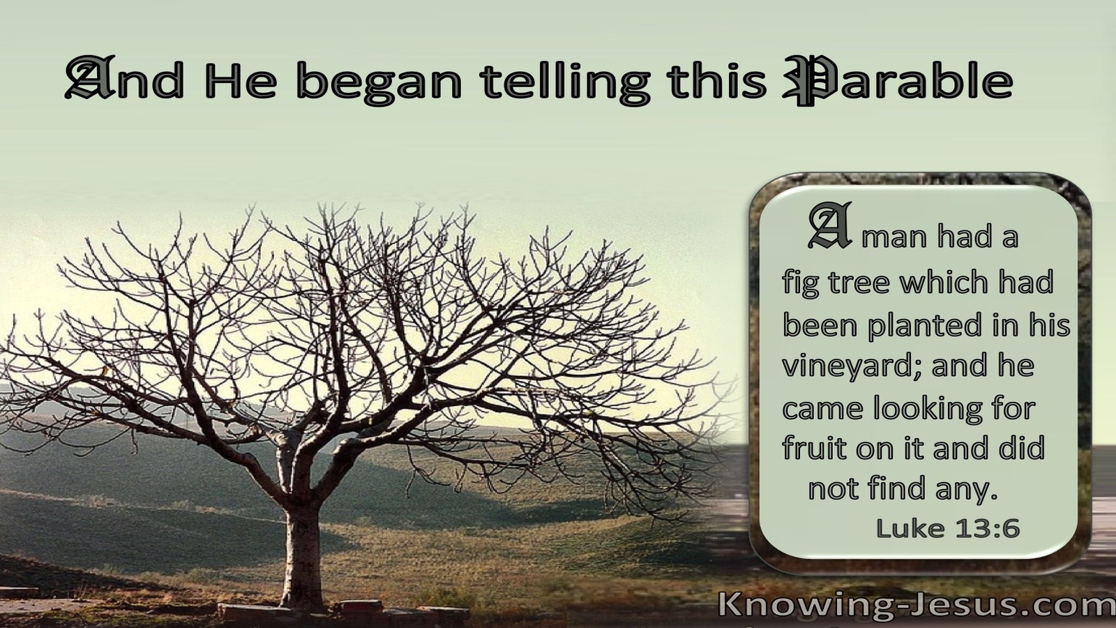 Luke 13:6 The Barren Fig Tree : He Found No Fruit (brown)